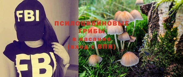 2c-b Кукмор